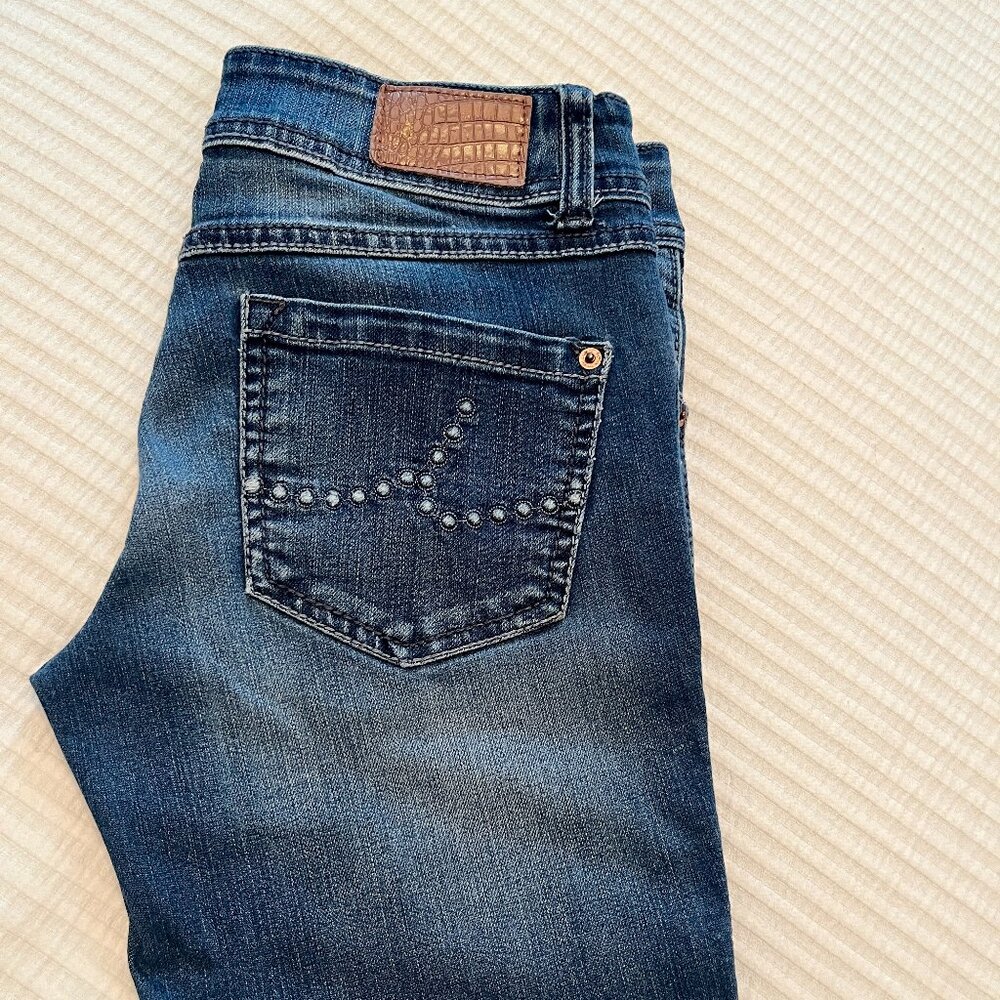 INC International Concepts Straight Leg Jeans Size 2